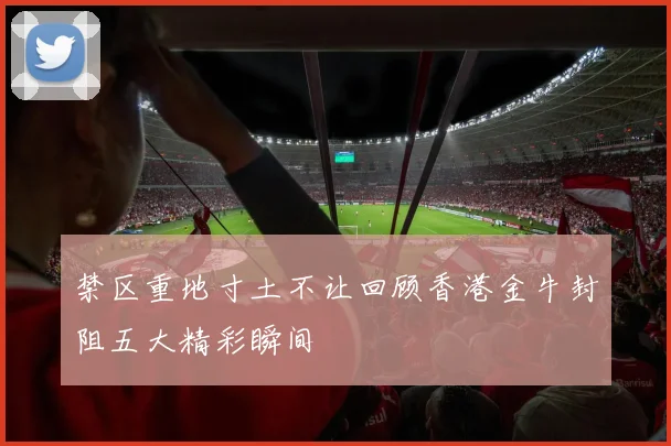 禁区重地寸土不让回顾香港金牛封阻五大精彩瞬间